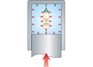 High Pressure Food Disinfection System