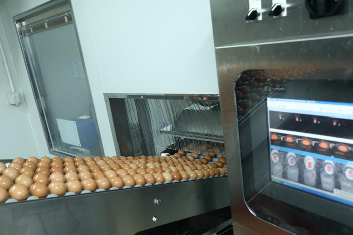 Luen Tai Hong supplies fresh liquid eggs to hundreds of eateries, well-known bakeries and chain restaurants in Hong Kong, with a market share of nearly 30%.