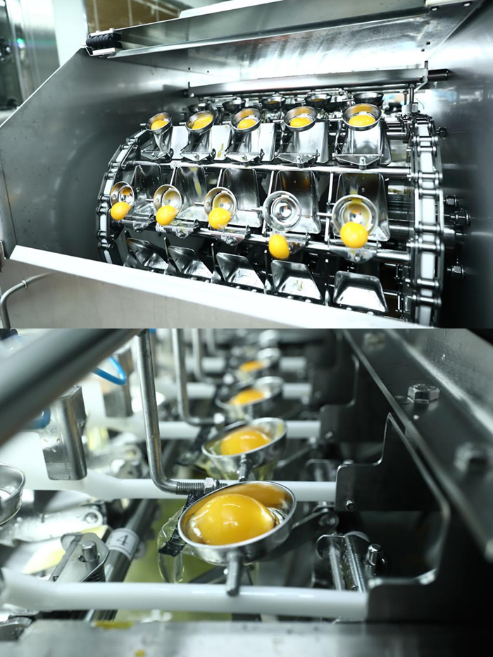 Luen Tai Hong produces 30 tons of fresh egg liquid every day. The production heavily relies on manual supervision and productivity is limited.