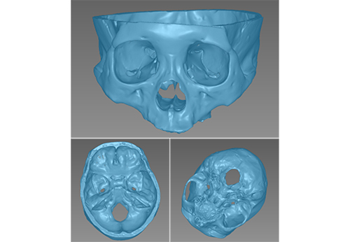 3D modelling technology