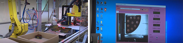 智能包装系统效率高；电脑视觉系统有助监控不同生产流程。
