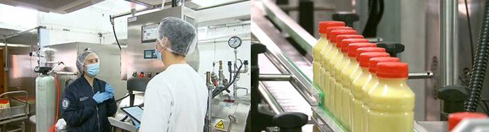 生产力局为怡加新打造「新鲜粟米汁智能生产线」，在维持原有员工数目的情况下，将产能提高达九倍。