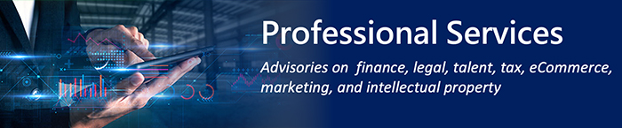 6 Tactics ​to Go Global Professional Services