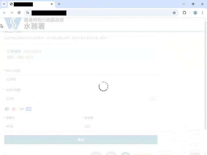 After submission, the fake page remains on a perpetual loading screen, while the victim’s credit card information has already been transmitted to the scammers.