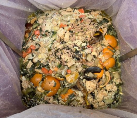未經處理廚餘